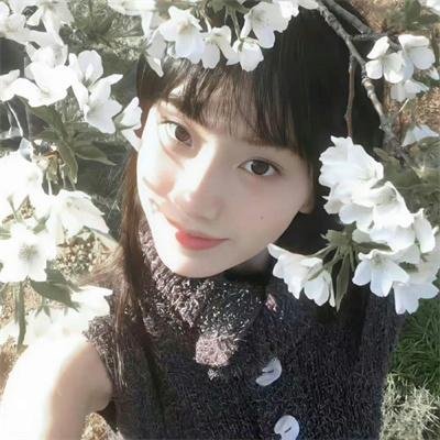我的主人是条狗